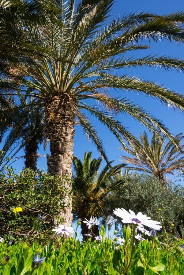 Carissa House In Crete Appartement Sitia  Buitenkant foto